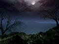 Pale Moonlight